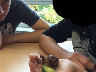 Schnecken_7b4