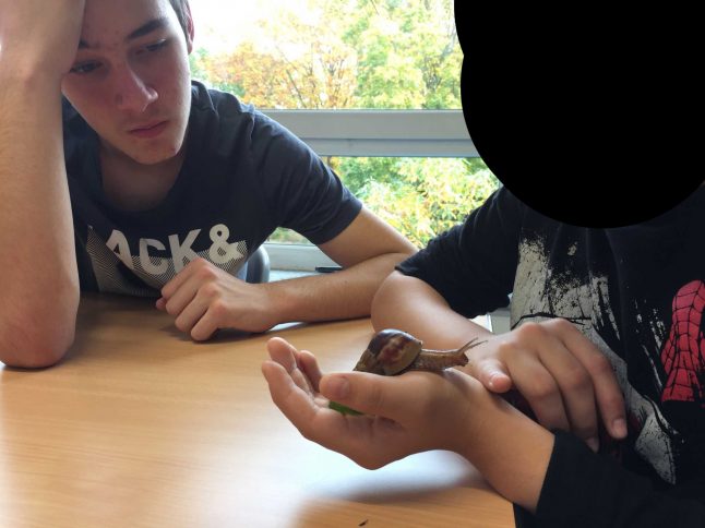 Schnecken_7b5